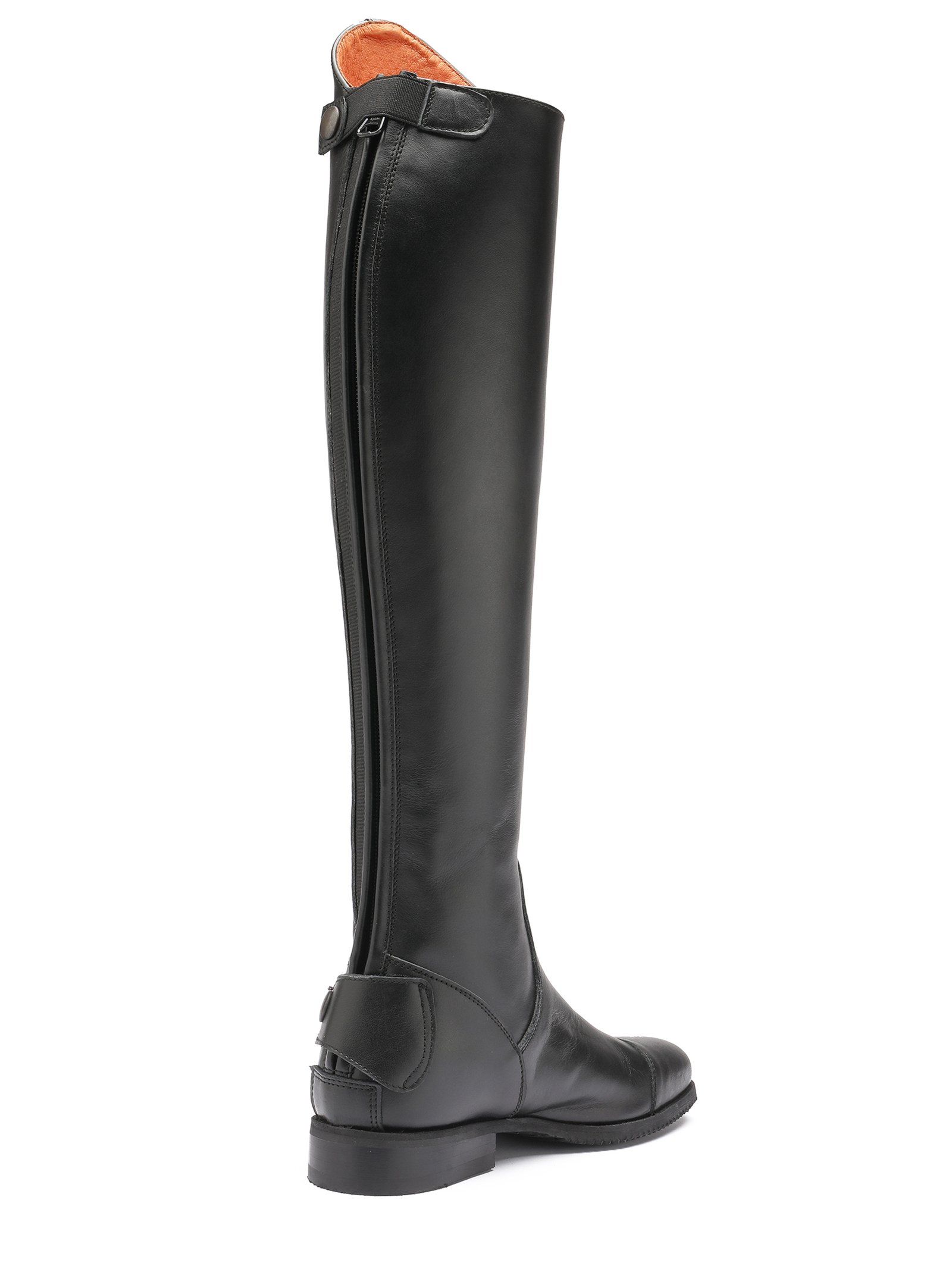 DESI_stivale_standard03